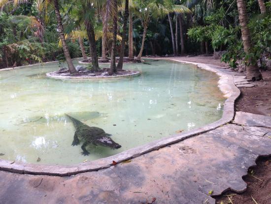Parque Nacional Arrecife Puerto Morelos